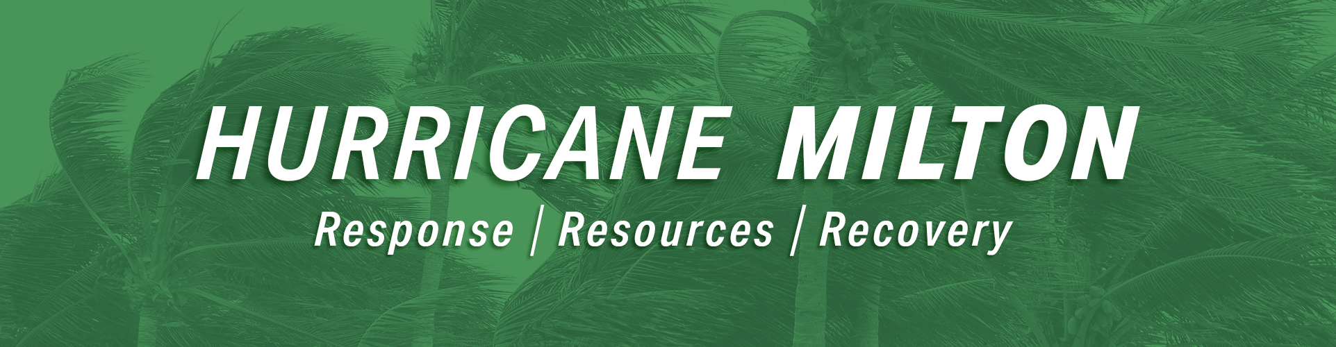 Hurricane Milton Banner Image